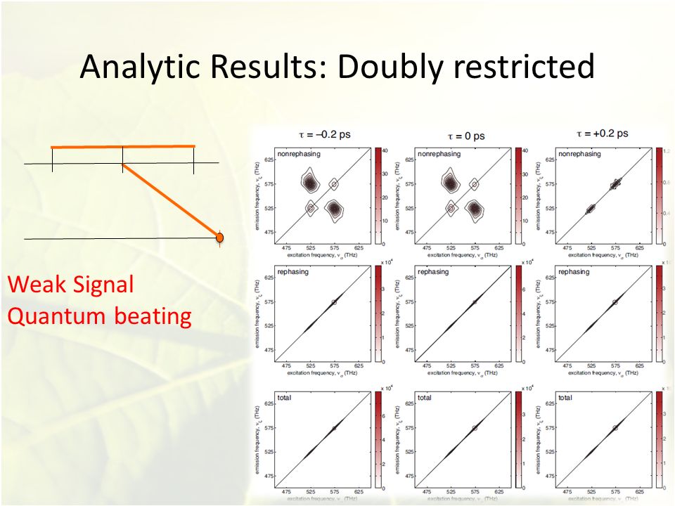 Analytic Results: Doubly restricted Weak Signal Quantum beating