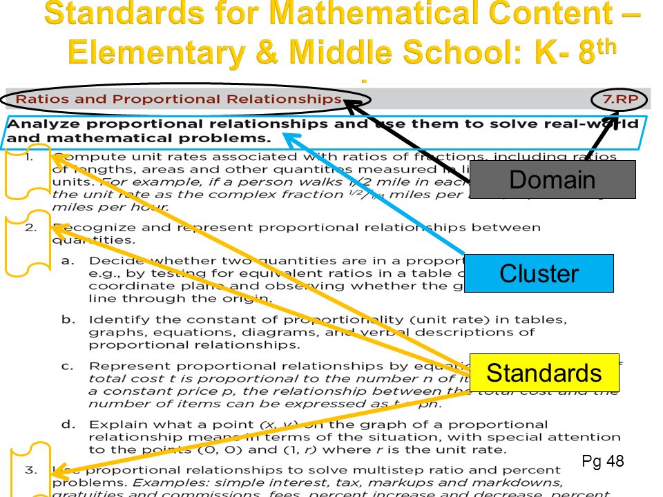 September, 2010 Domain Cluster Standards Pg 48