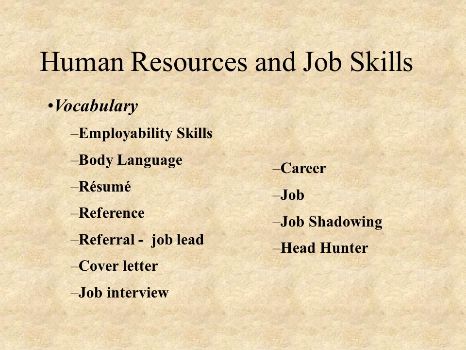Human Resources and Job Skills Vocabulary –Employability Skills –Body Language –Résumé –Reference –Referral - job lead –Cover letter –Job interview –Career –Job –Job Shadowing –Head Hunter