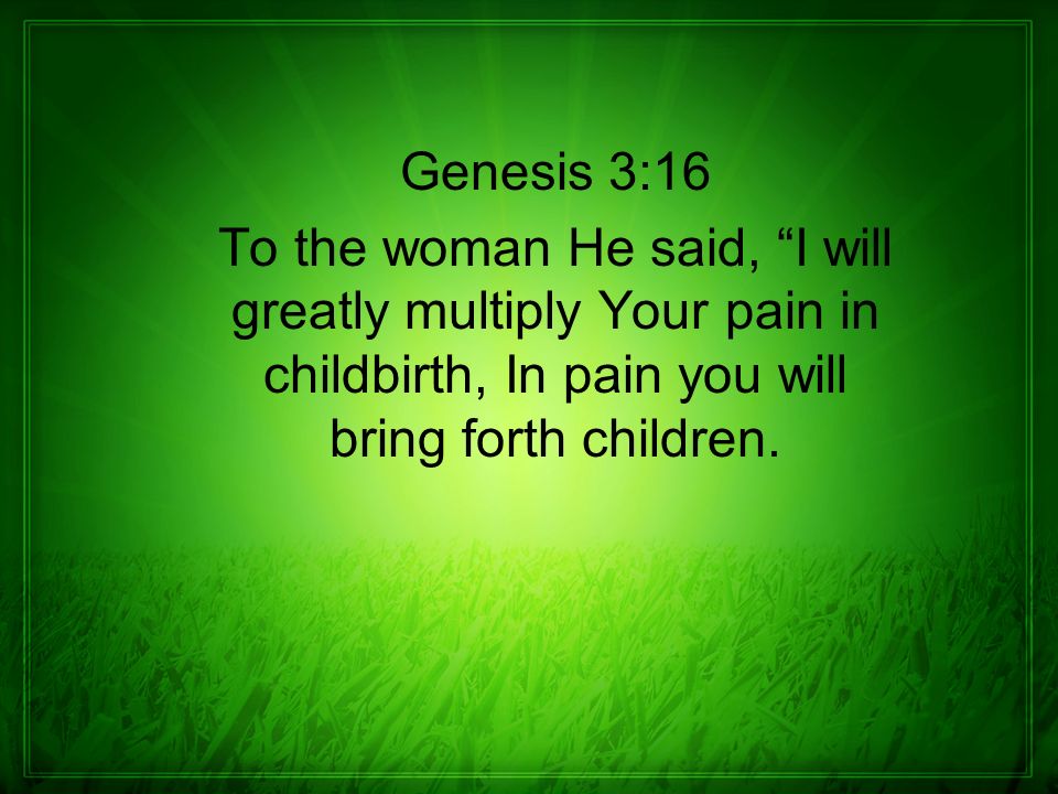 Genesis 3:16 To the woman He said, I will greatly multiply Your pain in childbirth, In pain you will bring forth children.