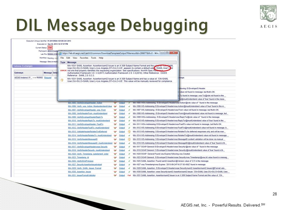 AEGIS.net, Inc. - Powerful Results. Delivered. SM DIL Message Debugging 28