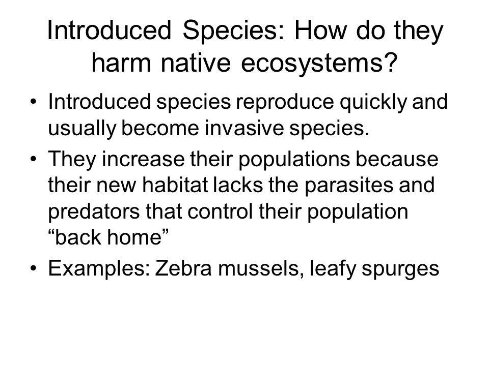 Introduced Species: How do they harm native ecosystems.