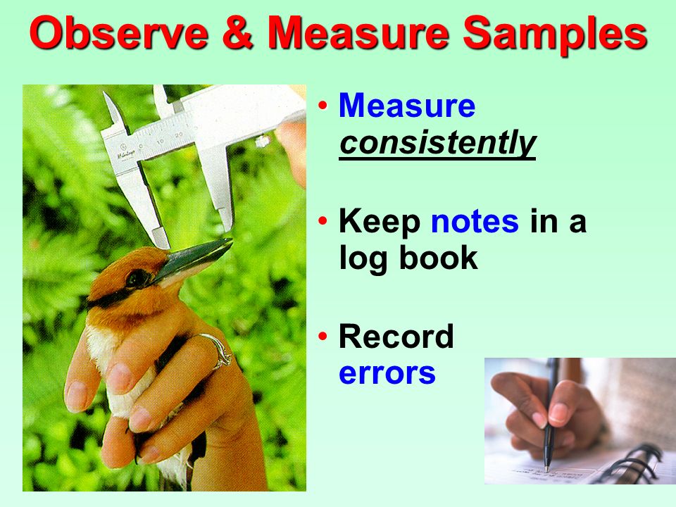 Observe & Measure Samples Measure consistently Keep notes in a log book Record errors