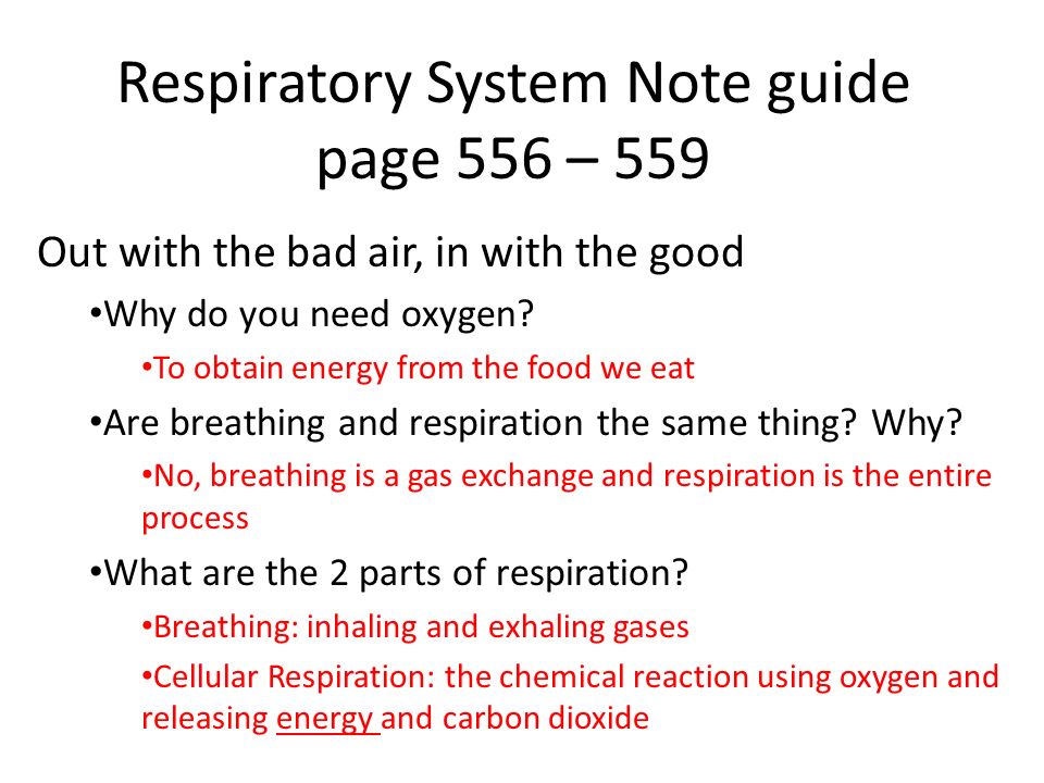Respiratory System Note guide page 556 – 559 Out with the bad air, in with the good Why do you need oxygen.