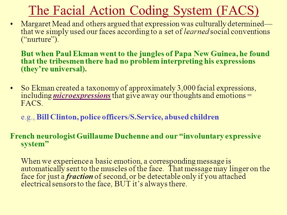 facial-action-coding-system-online-alisha-lennin-nude-photos
