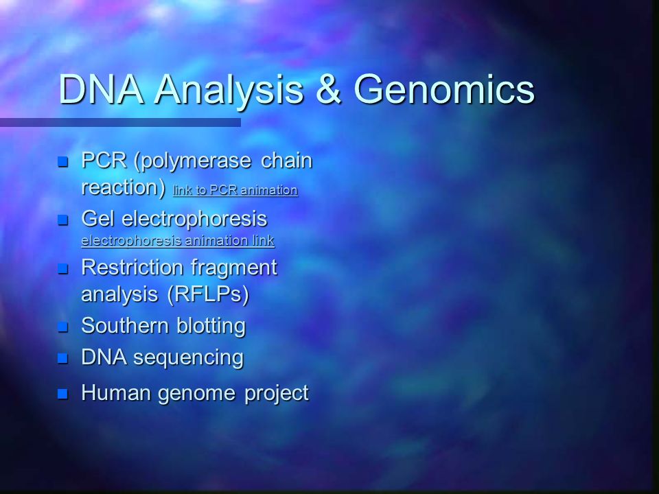DNA Analysis & Genomics n PCR (polymerase chain reaction) link to PCR animation link to PCR animation link to PCR animation n Gel electrophoresis electrophoresis animation link electrophoresis animation link electrophoresis animation link n Restriction fragment analysis (RFLPs) n Southern blotting n DNA sequencing n Human genome project