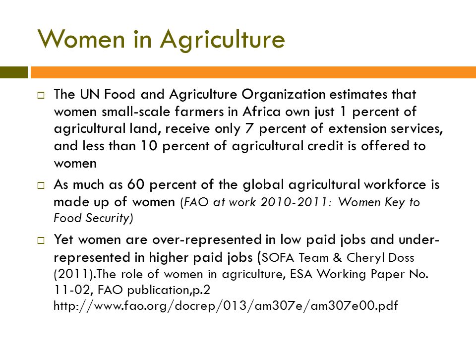 Women in Agriculture  The UN Food and Agriculture Organization estimates that women small-scale farmers in Africa own just 1 percent of agricultural land, receive only 7 percent of extension services, and less than 10 percent of agricultural credit is offered to women  As much as 60 percent of the global agricultural workforce is made up of women (FAO at work : Women Key to Food Security)  Yet women are over-represented in low paid jobs and under- represented in higher paid jobs ( SOFA Team & Cheryl Doss (2011).The role of women in agriculture, ESA Working Paper No.