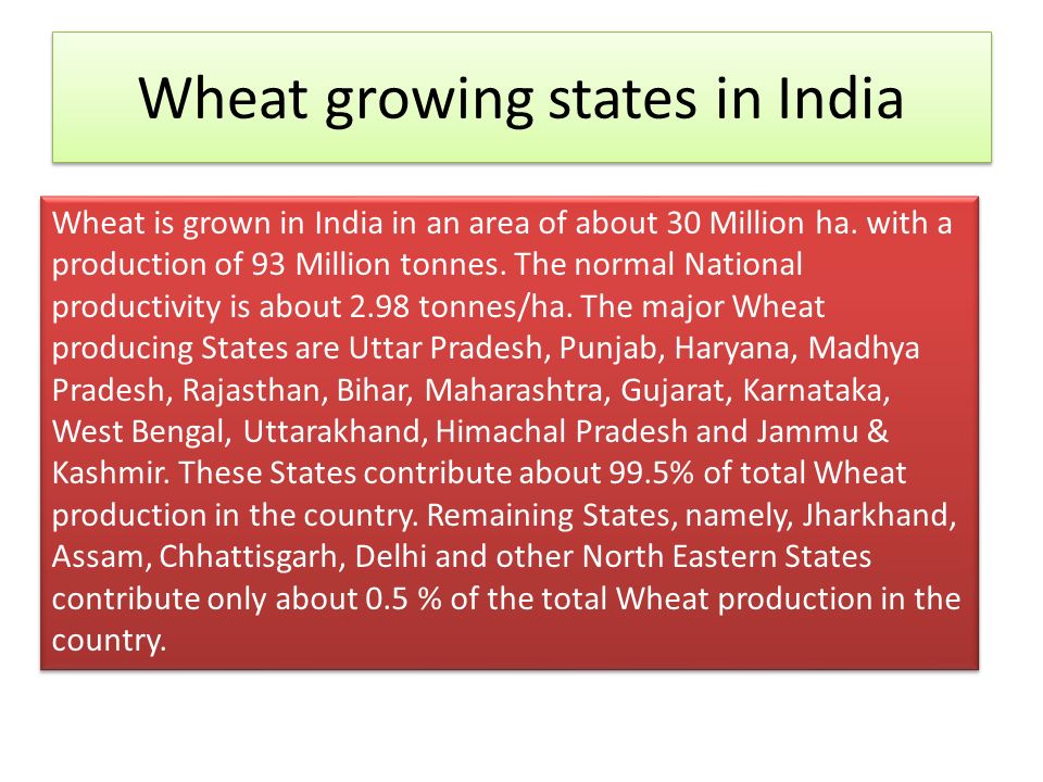 Govt sets up committee to monitor impact of rise in temp on wheat crop_60.1