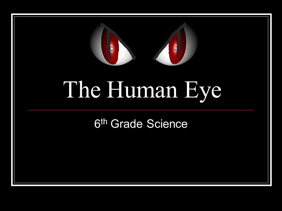 The Human Eye 6 th Grade Science