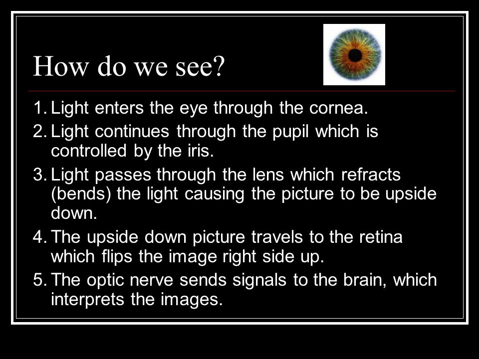 How do we see. 1.Light enters the eye through the cornea.