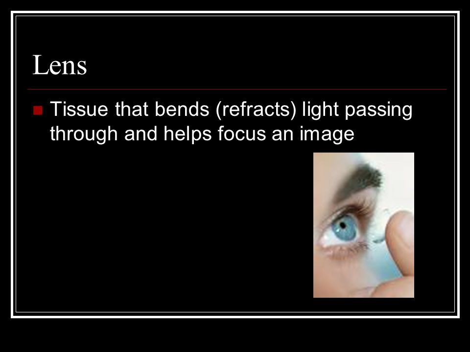Lens Tissue that bends (refracts) light passing through and helps focus an image