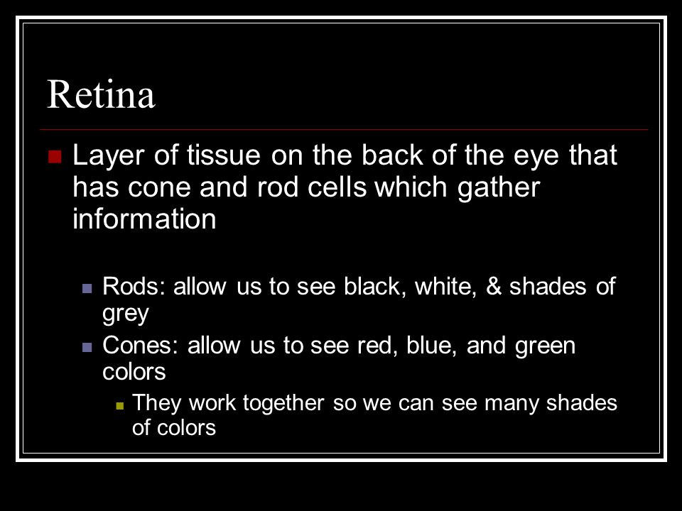 Retina Layer of tissue on the back of the eye that has cone and rod cells which gather information Rods: allow us to see black, white, & shades of grey Cones: allow us to see red, blue, and green colors They work together so we can see many shades of colors
