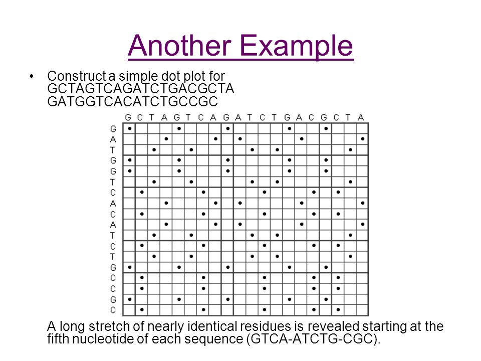 introduction to bioinformatics dot plots one of the simplest and dot plot example