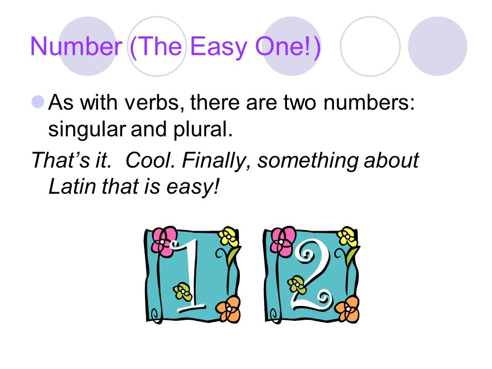 Number (The Easy One!) As with verbs, there are two numbers: singular and plural.