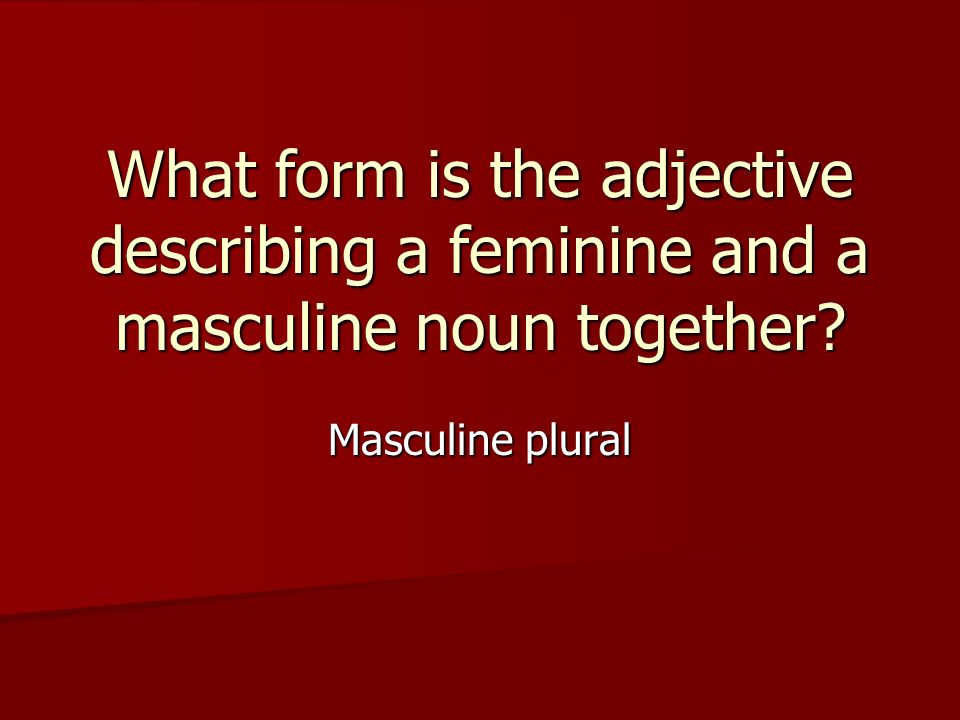 What form is the adjective describing a feminine and a masculine noun together Masculine plural