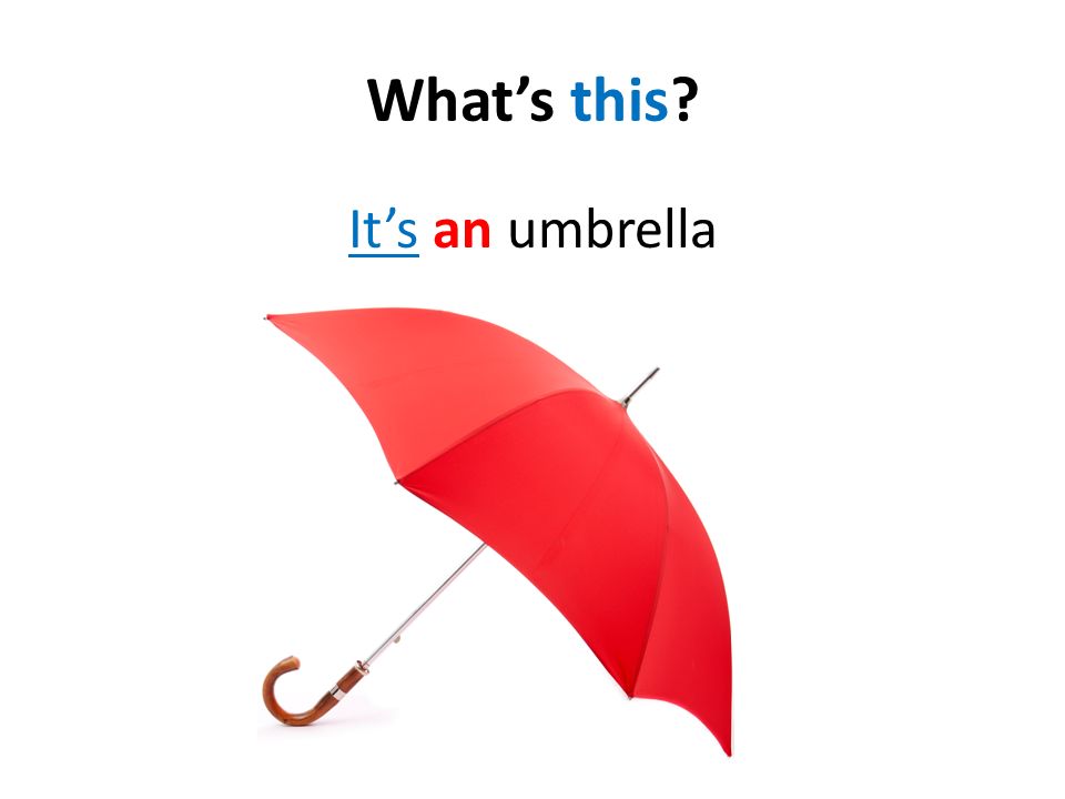 What’s this It’s an umbrella