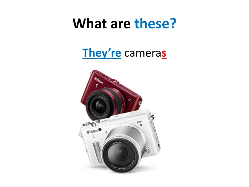 What are these They’re cameras