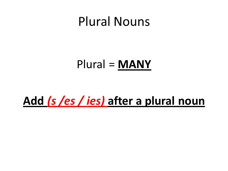 Plural Nouns Plural = MANY Add (s /es / ies) after a plural noun