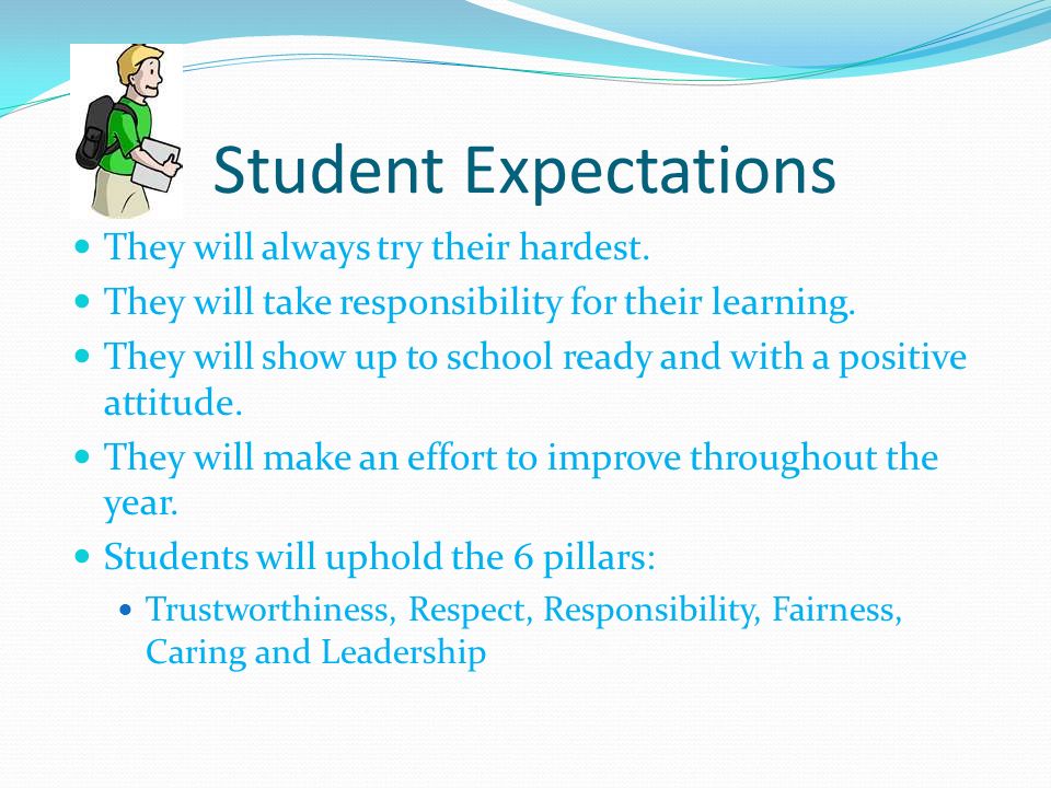 Student Expectations They will always try their hardest.