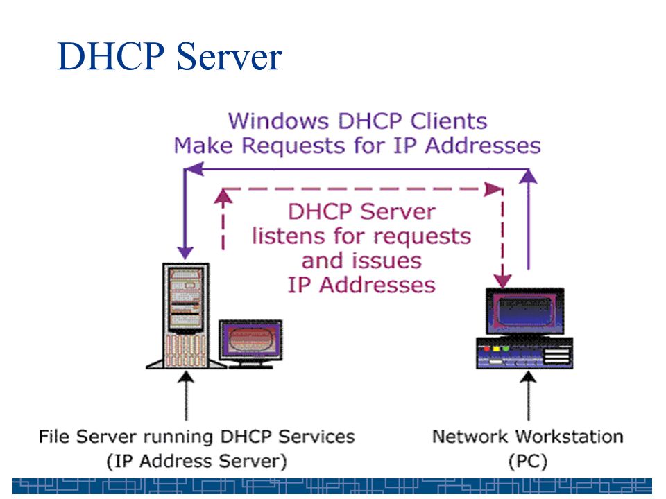 Dhcp server