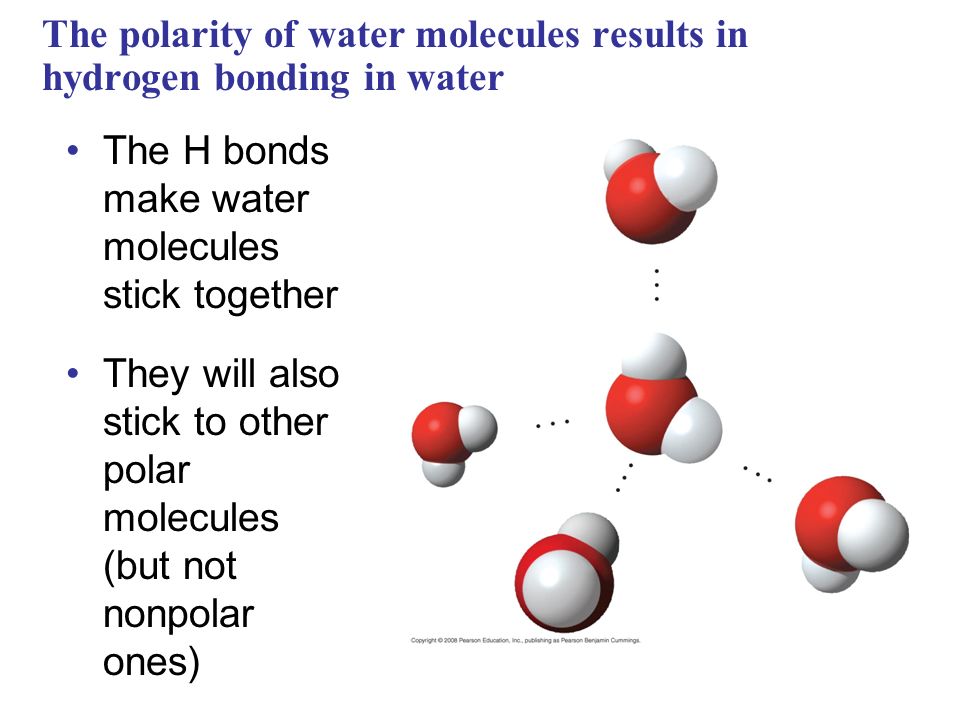 spring 2015 chemical principles water and polarity ppt download water polarity