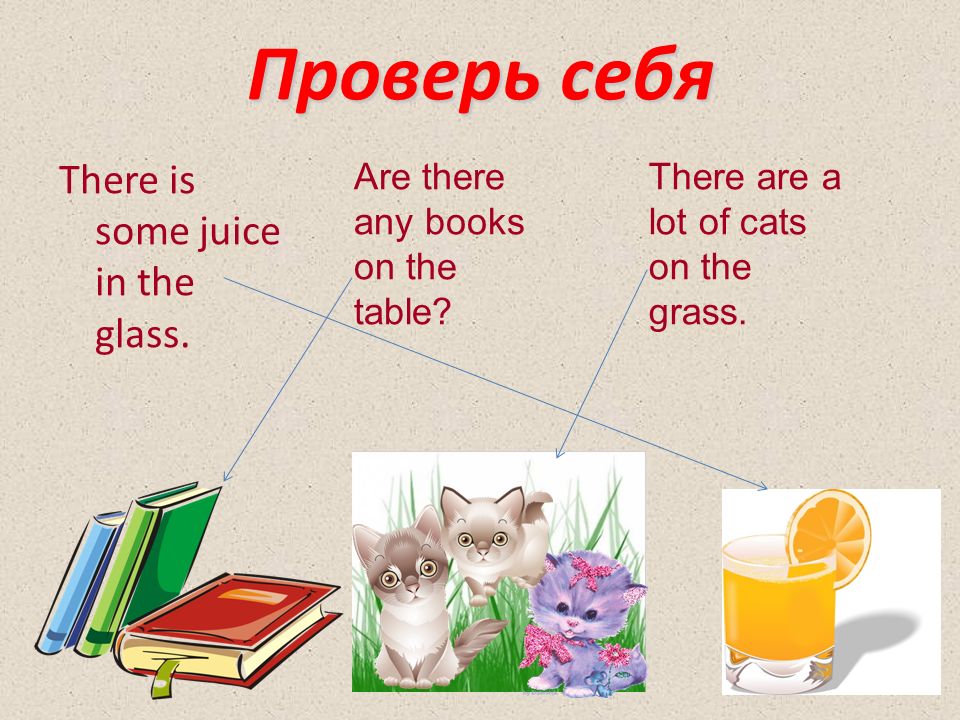 There are some milk in the glass. There is there are some a lot of правило. Конструкция there is there are some any. Some a lot of правило is are. There is there are some any правило.