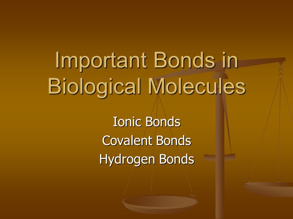 Important Bonds in Biological Molecules Ionic Bonds Covalent Bonds Hydrogen Bonds