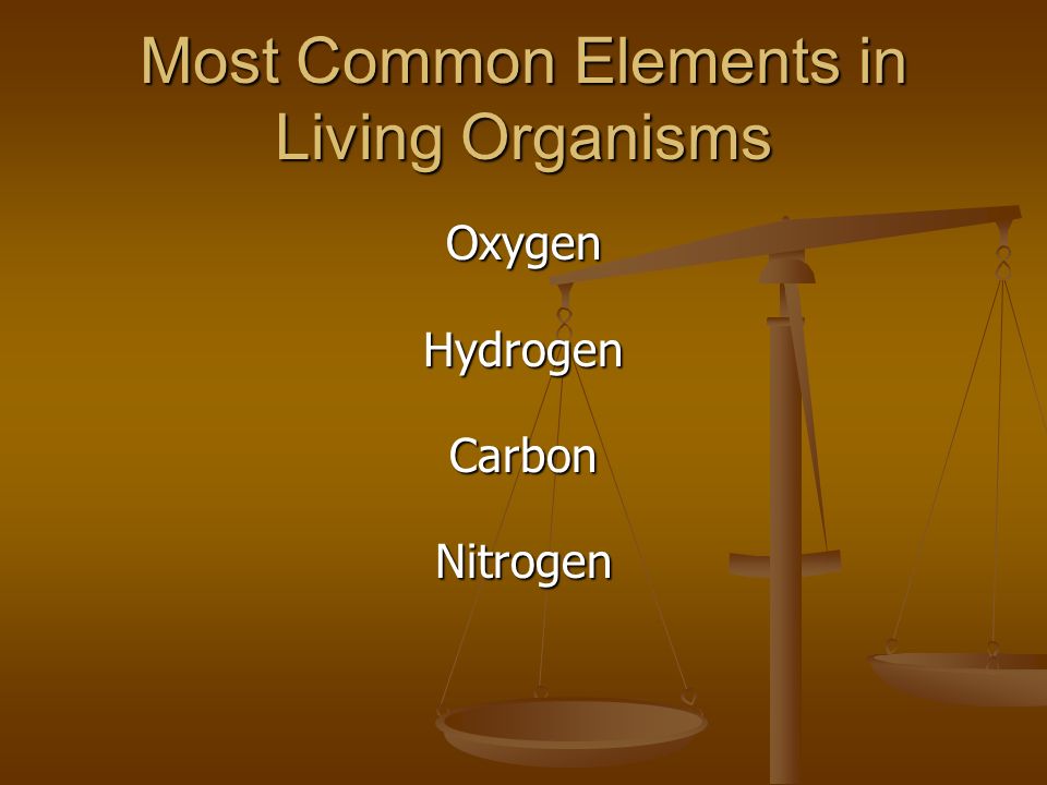 Most Common Elements in Living Organisms OxygenHydrogenCarbonNitrogen