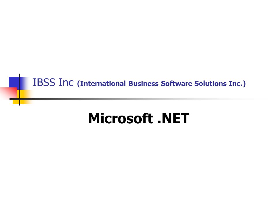 IBSS Inc (International Business Software Solutions Inc.) Microsoft.NET