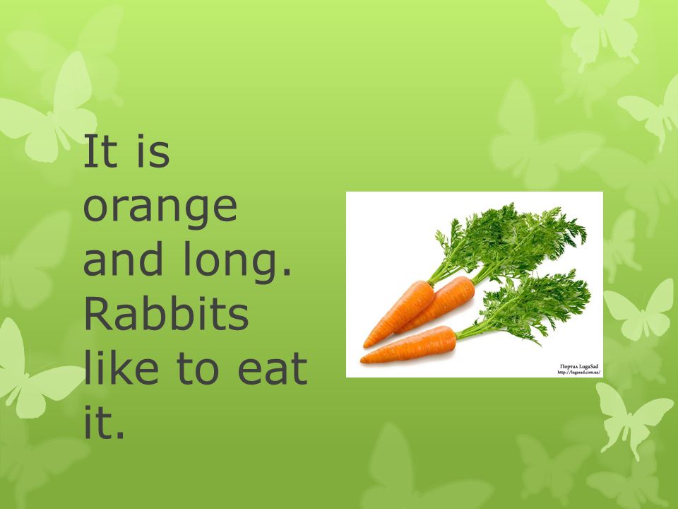 It is orange and long. Rabbits like to eat it.