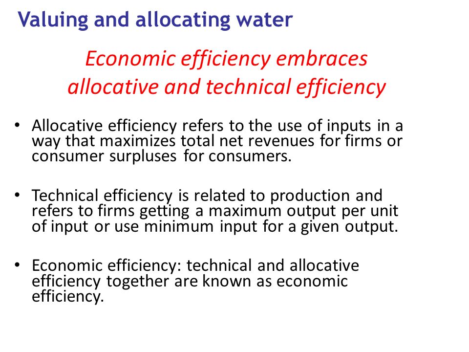 Economic efficiency embraces allocative and technical efficiency Allocative efficiency refers to the use of inputs in a way that maximizes total net revenues for firms or consumer surpluses for consumers.