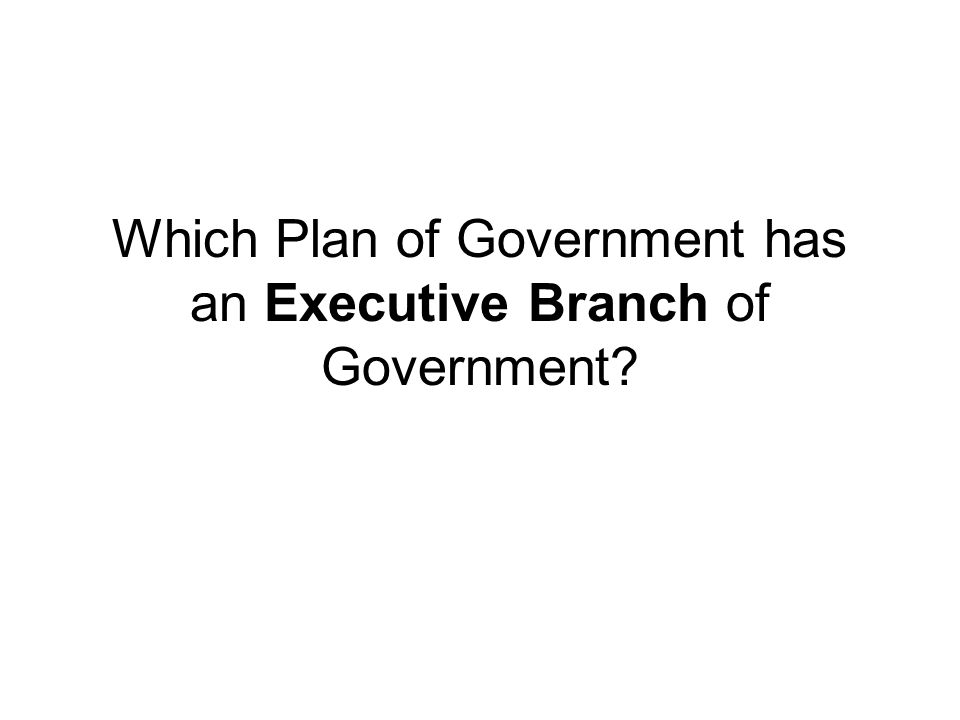 Which Plan of Government has an Executive Branch of Government