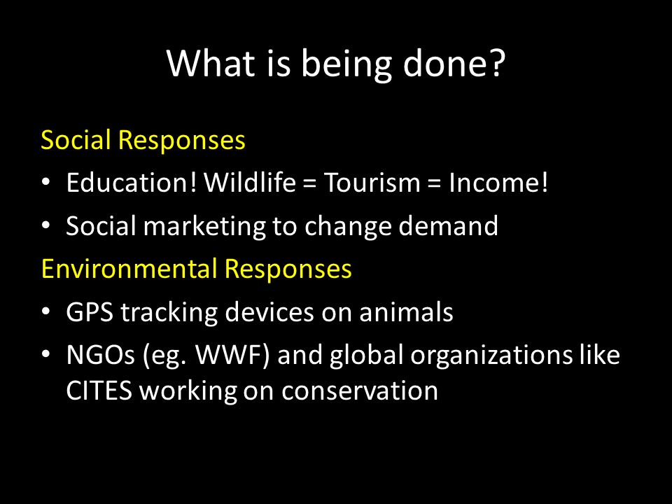 What is being done. Social Responses Education. Wildlife = Tourism = Income.