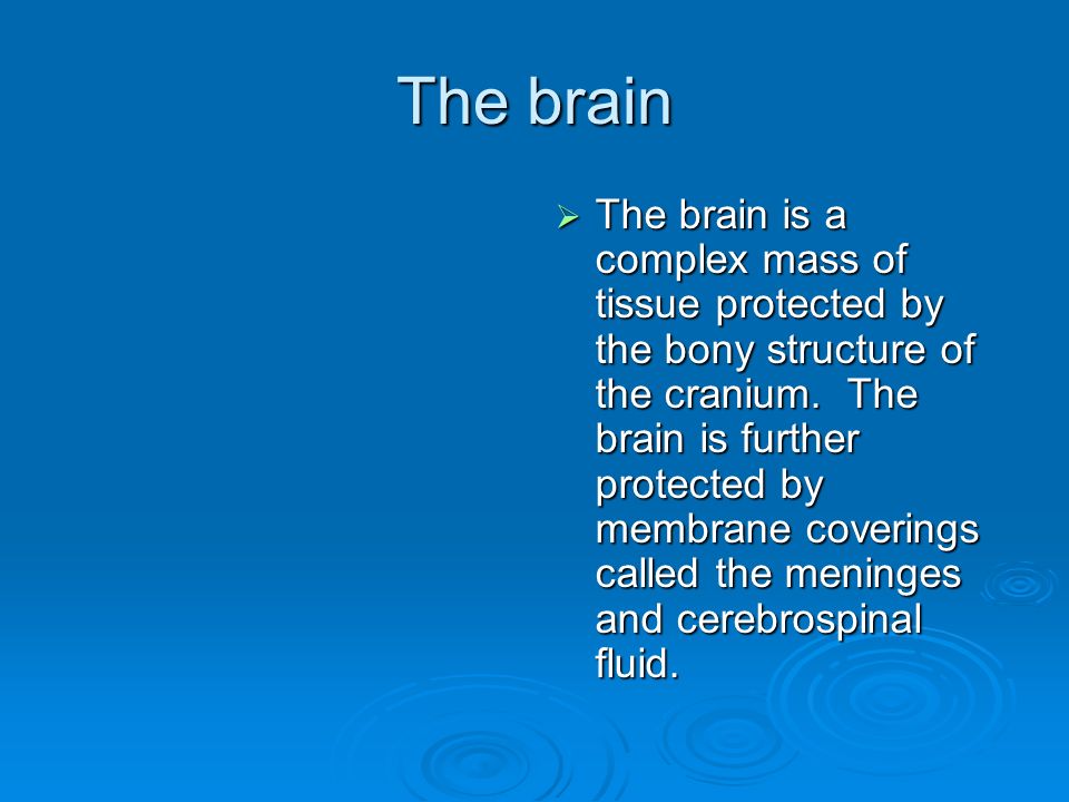 The brain  The brain is a complex mass of tissue protected by the bony structure of the cranium.