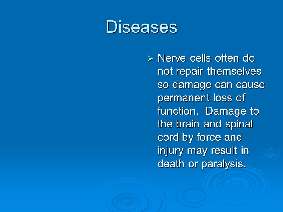 Diseases  Nerve cells often do not repair themselves so damage can cause permanent loss of function.