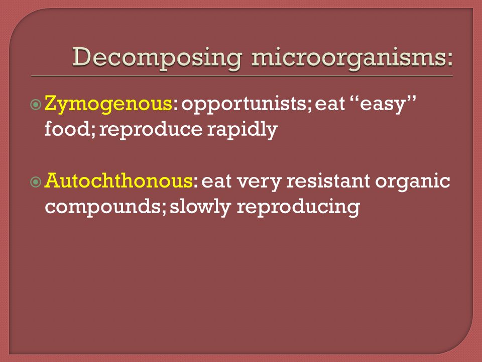  Zymogenous: opportunists; eat easy food; reproduce rapidly  Autochthonous: eat very resistant organic compounds; slowly reproducing