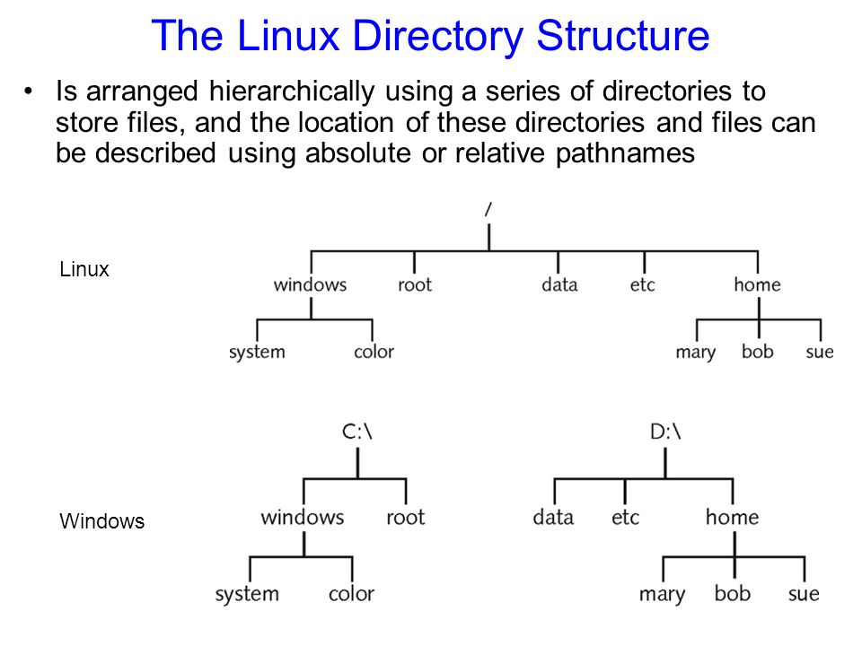 The Linux Directory Structure Is arranged hierarchically using a series of directories to store files, and the location of these directories and files can be described using absolute or relative pathnames Figure 4-2: The Linux filesystem structure Linux Windows