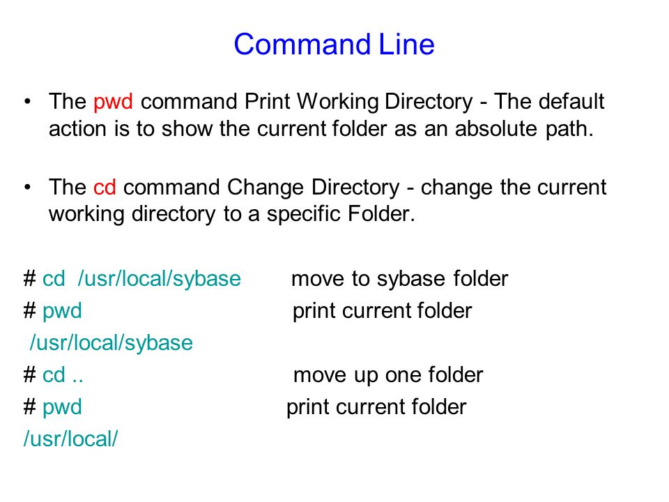 Command Line The pwd command Print Working Directory - The default action is to show the current folder as an absolute path.