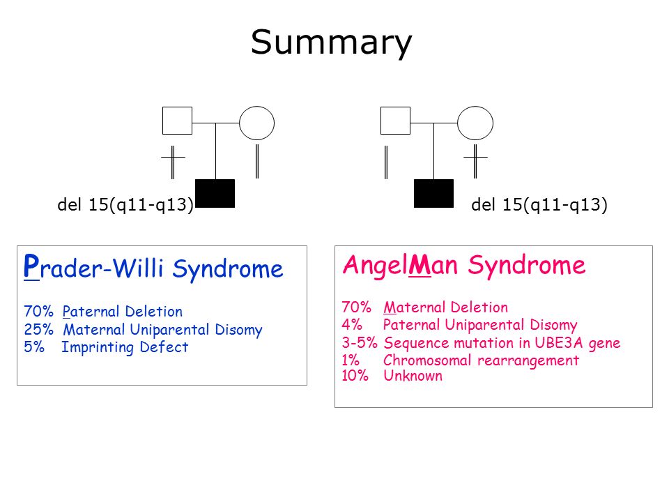Prader Willi Syndrome Pedigree Chart
