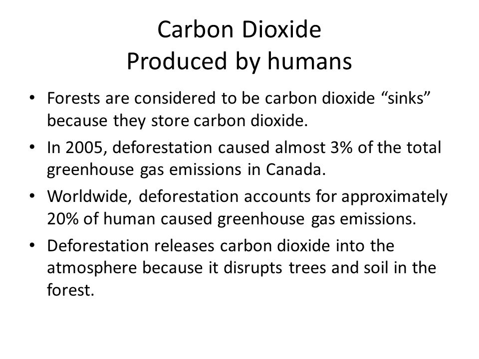 Carbon Dioxide Produced by humans Forests are considered to be carbon dioxide sinks because they store carbon dioxide.