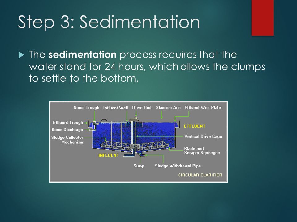 Step 3: Sedimentation  The sedimentation process requires that the water stand for 24 hours, which allows the clumps to settle to the bottom.