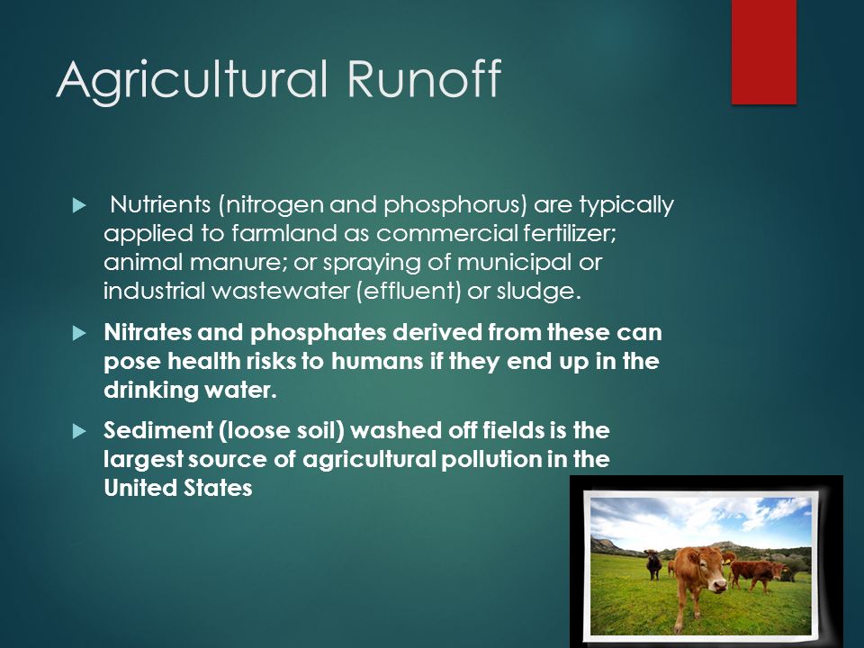 Agricultural Runoff  Nutrients (nitrogen and phosphorus) are typically applied to farmland as commercial fertilizer; animal manure; or spraying of municipal or industrial wastewater (effluent) or sludge.