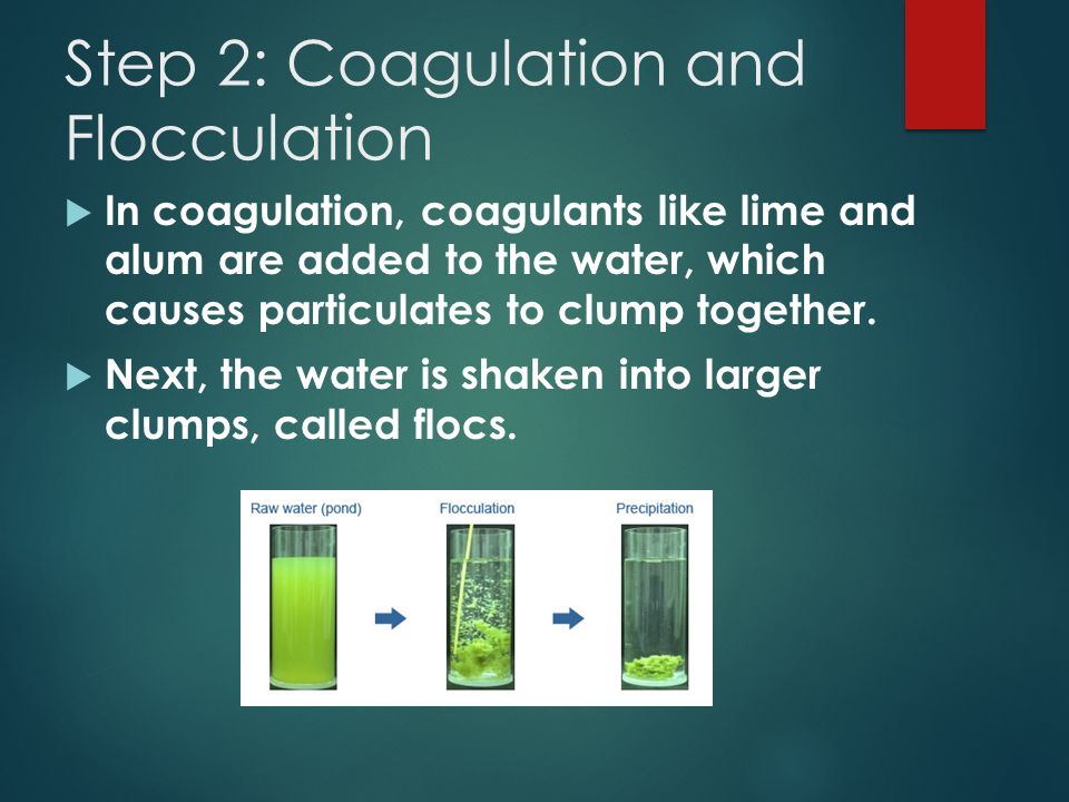 Step 2: Coagulation and Flocculation  In coagulation, coagulants like lime and alum are added to the water, which causes particulates to clump together.