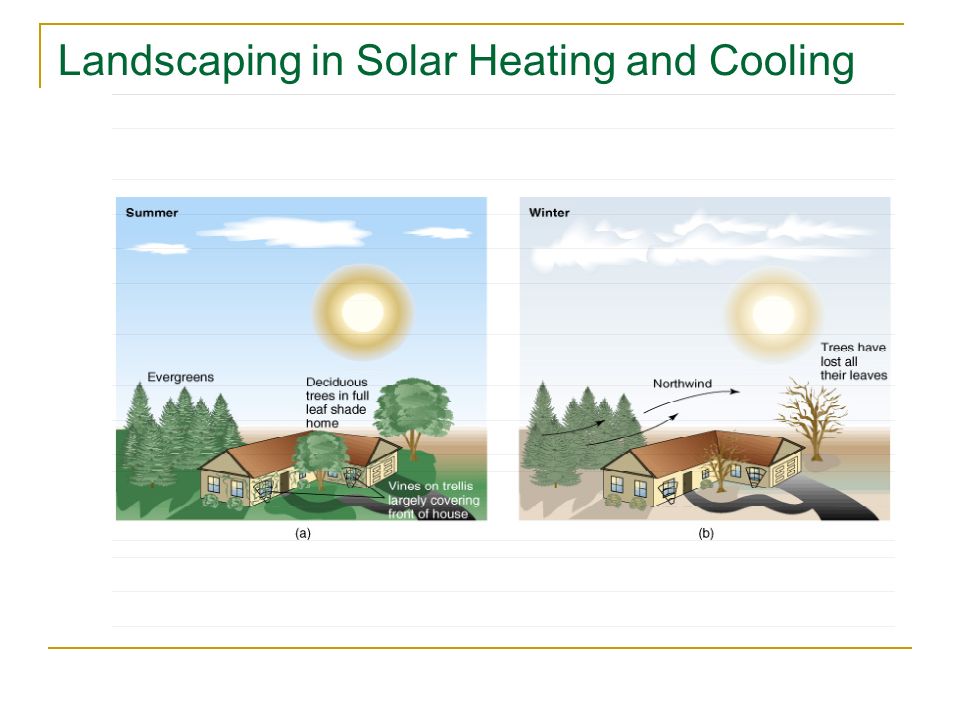 Landscaping in Solar Heating and Cooling
