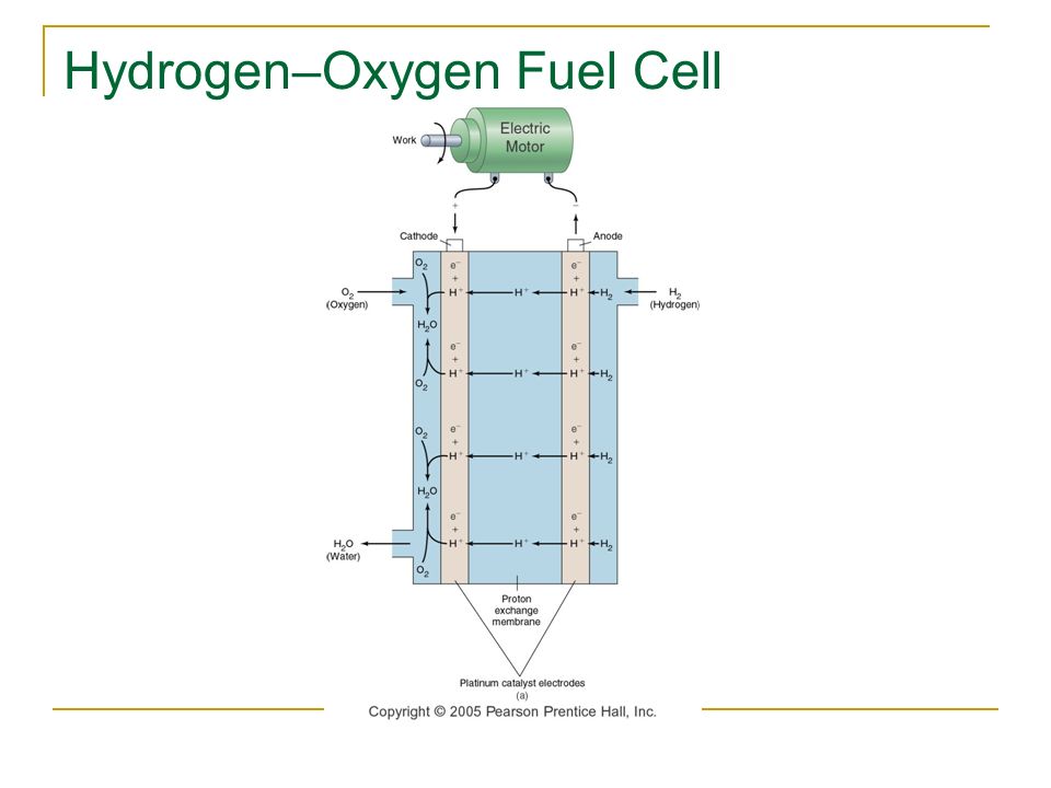 Hydrogen–Oxygen Fuel Cell