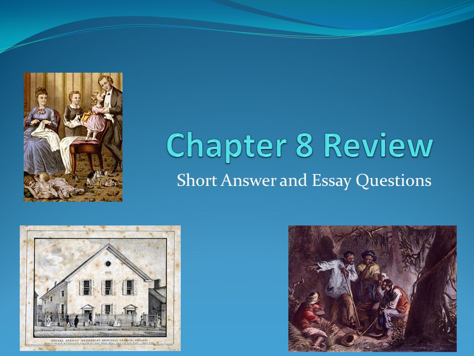 The Kite Runner Essay Thesis Short Answer And Essay Questions Cause And Effect Essay Thesis also Columbia Business School Essay Short Answer And Essay Questions African Americans The Great International Business Essays