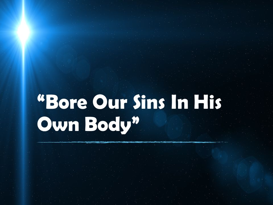 Bear The Expense For Your Sins