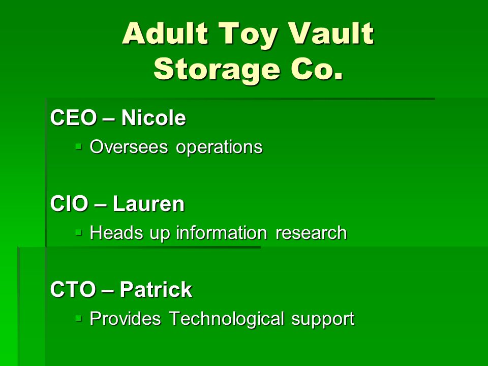 Adult Toy Vault Storage Co.
