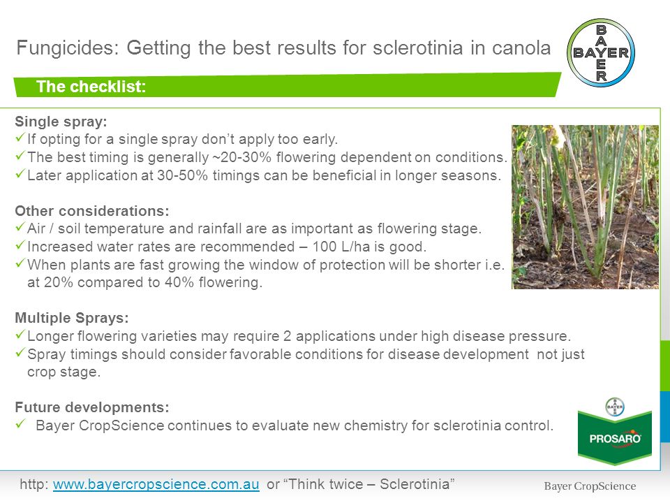 Fungicides: Getting the best results for sclerotinia in canola The checklist: Single spray: If opting for a single spray don’t apply too early.