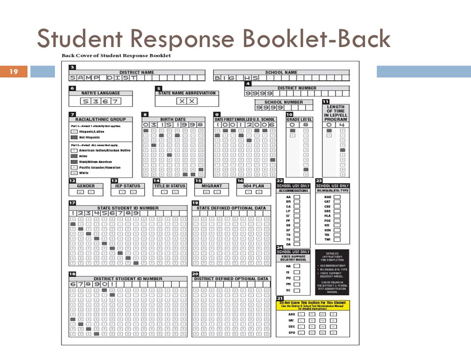 Student Response Booklet-Back 19